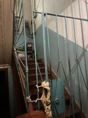 Квартира в Ярославле площадью 47.9 кв.м, 2 комнаты. Расположена по адресу: Ярославская область, г. Ярославль, ул. Менделеева, д. 11, пом. 10.