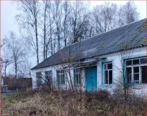 Здание, 262,3 кв.м, Брянская область, Нежилое здание, площадь: 262,3 кв.м, адрес (местонахождение): Российская Федерация, Брянская область, муниципальный район Почепский, сельское поселение Краснорогское, село Милечь, улица Центральная, дом 58а, кадастровый номер: 32:20:0570201:468