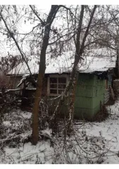 1/2 в жилом доме, площадь 27.2 кв.м., назначение: Жилое, количество этажей: 1, адрес: Россия, Тульская область, район Новомосковский, д. Докторово, дом 22, кадастровый номер: 71:15:010304:43 1/2 на земельном участке, площадь 3300 кв.м., назначение: Земли населенных пунктов, адрес: Россия, Тульская…