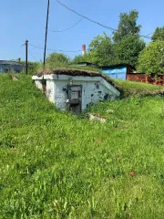 Земельный участок общей площадью 390 кв.м. с кадастровым номером: 43:42:000021:461 с расположенным на нем объектом федерального имущества – нежилое здание общей площадью 123,4 кв.м. с кадастровым номером: 43:42:000015:535, по адресу:  Кировская область, г. Кирово-Чепецк, пер. Пожарный, 7…