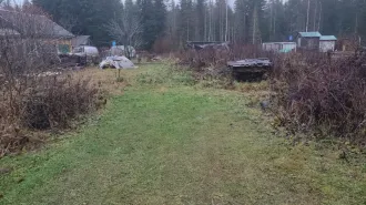 Земельный участок площадью 1100 кв.м. Земли населенных пунктов, сельскохозяйственного назначения. Расположен по адресу: Ленинградская область, Лодейнопольский муниципальный район, Алеховщинское сельское поселение, садоводческое товарищество "Новинка", участок № 338 (кадастровый номер…