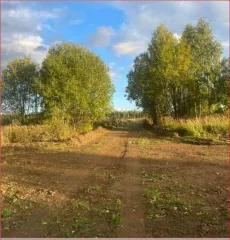 Земельный участок 625 кв.м, Владимирская область, расположенный по адресу: Владимирская область, Кольчугинский р-н, городское поселение город Кольчугино, деревня Гольяж, ул. Новая, д. 16, кадастровый номер: 33:03:001304:702