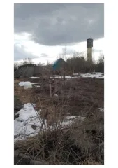 Земельный участок в Нижегородской обл., 700 кв.м. Земельный участок, расположенный по адресу 606484, РОССИЯ, Нижегородская обл, г Бор, с Останкино (Останкинский с/с), ул Лесная, 130А, площадью 700 кв.м., кадастровый номер 52:20:1600010:338, разрешенное использование: для ведения личного подсобного…