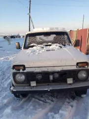 Легковой автомобиль, марка: ВАЗ 2121, год изготовления: 1993, цвет: Белый, VIN: XTA212100R1025829, ПТС: 19ОС 129889, г/н: В060АН19, модель двигателя: 7395114, двигатель №: 7395114, мощность двигателя, л. с. (кВт): 80, шасси (рама) № ОТСУТСТВУЕТ, кузов №: XTA212100R1025829, разрешенная максимальная…