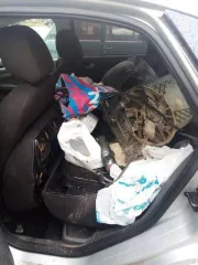 Ford Focus 2006 года, 125 л.с., пробег 450000 км, VIN WF05XXGCD56M26822. Находится в неисправном состоянии: отсутствует аккумулятор, неисправен двигатель, отсутствует радиатор, снят коллектор.