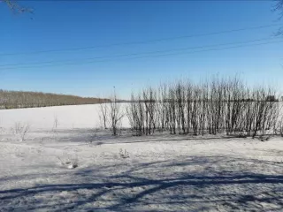 Доля в размере 1/2 в праве общей долевой собственности на земельный участок, категория земель: земли сельскохозяйственного назначения – для ведения сельскохозяйственного производства, площадь: 337 000 кв. м, кадастровый номер 54:13:025312:349, местоположение: Новосибирская область, Краснозерский…