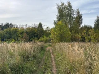 Земельный участок 1187 кв.м КН 50:35:0050123:796 Московская область. Площадь земельного участка: 1187 Кадастровый номер земельного участка: 50:35:0050123:796 Основной вид разрешенного использования: 2.2