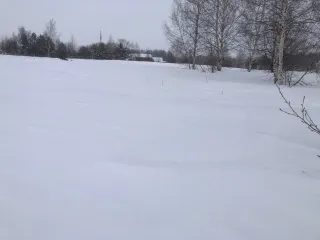 1/2 доля земельного участка, площадью 700 кв.м., назначение: Земли населенных пунктов, адрес (местонахождение): Чувашская Республика - Чувашия, р-н Чебоксарский, с/пос. Сарабакасинское, д. Сарабакасы, кадастровый (условный) номер: 21:21:220703:8. Обращаю внимание, что границы земельного участка не…