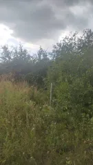 Земельный участок 2000 кв.м и дом 35.8 кв.м в Ульяновской области, п. Широкий, ул. Полевая, д. 12. Кадастровый номер участка: 73:19:111201:7. Кадастровый номер дома: 73:19:111201:115.