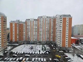 Жилое помещение 37.5 кв.м, Московская область, д. Голубое, ул. Родниковая, к. 4, кв. 64, этаж 4, кадастровый номер: 50:09:0070106:3242.