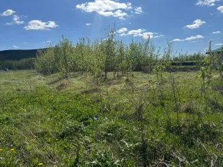 Доля в земельном участке 1071 кв.м, РТ 16. 1/2 доля в общей долевой собственности на земельный участок, кадастровый номер 16:39:100303:102, по адресу: РТ, Тукаевский район, д. Малая Шильна, ул. Ивана Мозгутеева, 3. Основной вид разрешенного использования: 2.0.