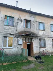 Доля в квартире 38,1 кв.м. Орловская область, Шаблыкинский район, село Юшково, проезд Садовый, дом 2, квартира 5. Общая площадь квартиры 38,1 кв.м., 1/3 доля в праве общей долевой собственности, второй этаж, назначение жилое. Состояние удовлетворительное, квартира требует ремонта. Кадастровый…