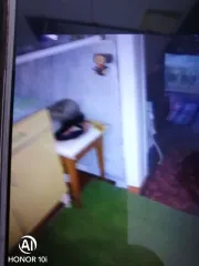 Жилой дом площадью 24,2 кв. м и земельный участок 4256 кв. м, Алтайский край, без координат границ. Жилой дом, площадь 24,2 кв. м., адрес (местонахождение): Россия, край Алтайский, р-н Солтонский, с. Шатобал, ул. Центральная, дом 18, кадастровый (условный) номер: 22:44:160002:13. Без координат…