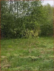 Земельный участок 902 кв.м в Тверской области, Калининский район, сельское поселение Никулинское, СНТ "Надежда", участок 7. Кадастровый номер: 69:10:0244301:7. Вид собственности: индивидуальная.