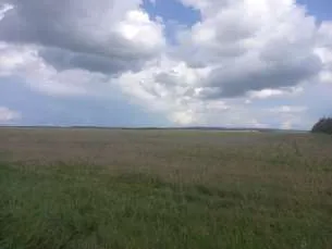 Право долгосрочной аренды земельного участка площадью 1 943 853 кв.м, кадастровый номер: 02:47:121101:10, адрес: Местоположение установлено относительно ориентира, расположенного в границах участка. Почтовый адрес ориентира: Республика Башкортостан, р-н. Уфимский, с/с. Николаевский. Имеются…