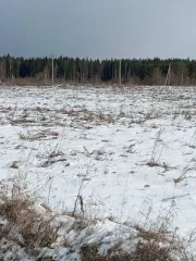 Земельный участок, категория земель: земли сельскохозяйственного назначения, разрешенное использование: для дачного строительства, общая площадь 701, расположенного по адресу: Московская область, Можайский район. Кадастровый номер – 50:18:0050116:642.