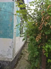 Квартира 60,8 кв.м и земельный участок 793 кв.м, дом блокированной застройки, Ставропольский край. Земельный участок (793 кв.м.) + дом блокированной застройки (60,8 кв.м.), расположенные по адресу: Ставропольский край, Труновский р-н, с. Донское, ул. Коммунальная, д. 5, кв. 2. Кадастровый номер…