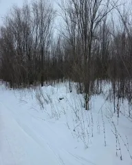 Земельный участок 1000 кв.м, ИЖС, Самарская область, Безенчукский р-н, пгт Безенчук земельный участок площадью 1000 кв.м. с кадастровым номером 63:12:1303006:1705, в общей совместной собственности, категория земель – земли населенных пунктов, разрешенное использование - Для индивидуального…