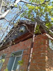 Земельный участок 879 кв.м и жилой дом 43.9 кв.м, Волгоградская обл., г. Ленинск. Земельный участок кадастровый номер: 34:15:080301:617, площадь 879 кв.м. и жилой дом кадастровый номер: 34:15:080301:969, площадь 43.9 кв.м., по адресу: обл. Волгоградская, г. Ленинск, пер. Гастелло, дом 6. Общая…