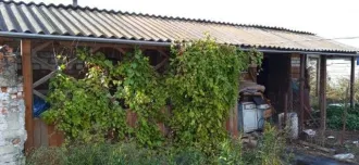 Дом 53,2 кв.м и земельный участок 2500 +/- 35 кв.м в Курской обл., земельный участок с жилым зданием. Адрес: Российская Федерация, Курская обл., Дмитриевский район, с. Куток, д. 17. Кадастровые номера: 46:05:190601:33; 46:05:190601:87. Площадь (кв.м): 2500 +/- 35, 53.2. Вид собственности…