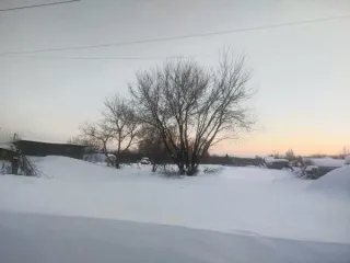 Земельный участок площадью 1498 кв.м по адресу: Алтайский край, Первомайский район, с. Первомайское, ул. Пролетарская, 37. Кадастровый номер: 22:33:020502:25. Вид разрешённого использования: 2.2. Регистрационный номер ЕГРОКН: