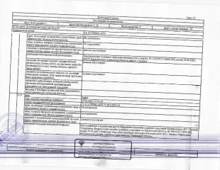 Земельный участок, площадь 1102 кв.м., кадастровый номер: 72:17:1705001:1654, г. Тюмень, СНТ Виктория-1, ул. Садовая, уч.№18п, рег.№ 72-010037-ГМУ; Земли сельскохозяйственного назначения, для ведения садоводства, огородничества или дачного хозяйства, вид разрешённого использования: 13.2.