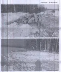 Древесина хлыстами 84 м³ в Осинском муниципальном округе. Количество, породный и сортиментный состав древесины (вся древесина - хлысты): ель – 39 куб.м., пихта – 5 куб.м., сосна – 8 куб.м., береза – 13 куб.м., осина – 19 куб.м. Всего: 84 куб.м. Местонахождение древесины: Осинский муниципальный…