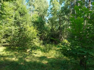 Земельный участок 1022 м², Нижегородская область, Богородский м.о, Дуденевский сельсовет, кадастровый номер 52:24:0020003:6396, площадь 1022, по адресу Российская Федерация, Нижегородская область, Богородский м.о, Дуденевский сельсовет. Основной вид разрешенного использования: 2.2.