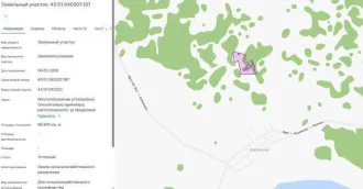 Земельный участок площадью 98800 кв.м. Курганская область, Альменевский район, село Казенное. Категория земель: сельскохозяйственного назначения. Разрешенное использование: для сельскохозяйственного производства. Кадастровый номер: 45:01:040201:187.