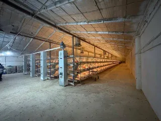 Имущественный комплекс в Татарстане: здание цеха забоя 1072 кв.м, контора 589.3 кв.м, гараж 294.6 кв.м, склад минеральных удобрений 1186.2 кв.м, арочный склад 657 кв.м, зернохранилища 620.4 кв.м и 625.5 кв.м, пункт технического обслуживания 388.7 кв.м, фуражный склад 1124.7 кв.м, зерносклады 629.2…