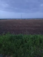 1/260 доля в праве на земельный участок, площадь: 8 141 178 кв.м., адрес (местонахождение): Российская Федерация, Республика Татарстан (Татарстан), м.р-н Черемшанский, с.п. Ивашкинское, с Ивашкино, тер. Паевые земли, з/у 1, категория земель: Земли сельскохозяйственного назначения, разрешенное…