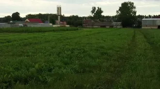 1/2 доли жилого дома 48,4 кв.м и земельного участка 4838 кв.м, д.Старый Югуп, Республика Татарстан 1/2 доля в праве на жилое здание, площадь: 48,4кв.м., кадастровый номер: 16:10:060201:135 и 1/2 доля в праве на земельный участок, площадь: 4 838кв.м.,категория земель: Земли населенных пунктов…