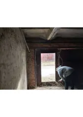 Гаражи 19,4 кв.м и участки 22 кв.м, нежилое здание, Самарская область, Октябрьск. Гараж 19,4 кв.м. и земельный участок 22 кв.м. в Самарской обл. еще нежилое здание, площадь: 19,4кв.м., кадастровый номер: 63:05:0105028:470 и земельный участок, площадь: 22кв.м., категория земель: Земли населенных…