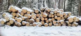 Годные остатки: древесина породы «ель», 438,41 куб. м. Реализуется в качестве годных остатков, а также в качестве вторичного сырья, лома, утиля. Описание лота см. в разделе "документы" п. 3 извещения (информационного сообщения). Имущество продается в том виде, в каком оно есть, и в случае продажи…