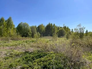Земельный участок площадью 1891389 кв.м., кад. № 12:03:0202001:73, расположенный по адресу: РМЭ, Килемарский район, в восточной части кад.квартала №12:03:0202001 Вид разрешённого использования земельного участка: 1.0