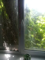 Помещение 28,1 кв м Ставропольский край Объект аренды, площадь 28,1 кв. м., номер на поэтажном плане 1 этажа: 12, адрес (местонахождение) объекта: 356540, Ставропольский край, Туркменский р-н, Летняя Ставка с, Жижина ул, дом № 8 Требуется текущий ремонт Кадастровый номер объекта недвижимости…