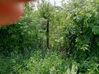 Земельный участок 500 кв.м Самарская область 1/2 на земельном участке, площадь 500, назначение: Земли населенных пунктов, адрес: Россия, Самарская область, Куйбышевский р-н, г. Самара, Подстепновка, линия 4, дом 142, кадастровый номер: 63:01:0417004:907.