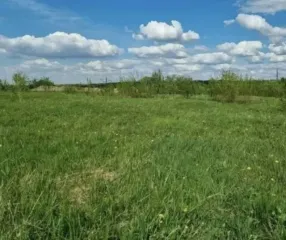 Земельный участок в Самарской обл., 920+/-11 кв.м. кадастровый номер – 63:22:0802003:184 Адрес: Самарская область, Кинельский район, п. Комсомольский, ул. Ягодная, 37 Площадь: 920+/-11 Категория земель: земли населенных пунктов Виды разрешенного пользования: под индивидуальное жилищное строительство