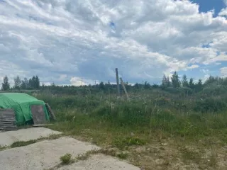 Земельный участок с кадастровым номером 47:14:0624008:13, площадью 502,0 кв.м