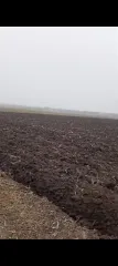 Земельный участок 2000 кв.м, Краснодарский край Земельный участок, кадастровый номер: 23:35:0304004:399, площадь 2000, местоположение установлено относительно ориентира, расположенного в границах участка. Почтовый адрес ориентира: Краснодарский край, Усть-Лабинский район, ст-ца Воронежская. С…