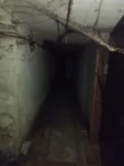 Помещение нежилое кад.№ 37:14:010206:658, общей площадью 576,3 кв.м, расположенное этаж 1, подвал в многоквартирном жилом доме по адресу Ивановская область, р-н Пучежский, г. Пучеж, ул. Горького, д. 16, пом. 1.