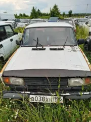 ВАЗ 21053, г/н В038ХН196, комплект ключей от него, вид транспорта: автомобиль, год выпуска: //, государственный регистрационный знак: В038ХН196, VIN номер: //, марка: ВАЗ, модель: ВАЗ 21053