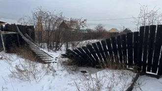 1/4 Доли дома и участка в Бурятии, СНТ «Росинка», площадь 598 кв.м и 50 кв.м. 1/4 доля в праве общей долевой собственности на земельный участок площадью 598 кв.м., кадастровый номер: 03:06:560101:1711, вид разрешенного использования: для ведения садоводства, и 1/4 доля в праве общей долевой…