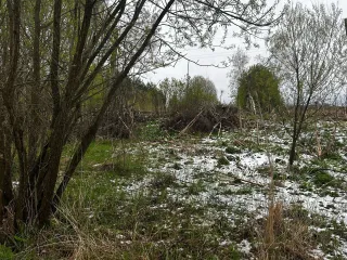 Земельный участок для ЛПХ и ИЖС, площадь 4000 кв.м., адрес: Россия, обл. Тверская, р-н Кашинский, д. Раднево, дом 22, кадастровый номер: 69:12:0200301:51. Вид права: собственность.