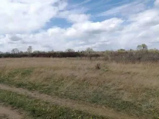 Земельный участок, площадью 746+/-10 кв.м., кадастровый номер 19:01:130501:1073, расположенный по адресу: РОССИЯ, Республика Хакасия, городской округ город Абакан, город Абакан, Территория СОСН Колягинские холмы-Колягино-1, улица Пихтовая, земельный участок 23А.