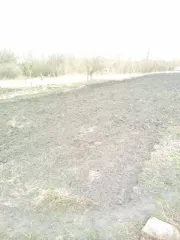 Дом 36,6 кв.м и земельный участок 3500 кв.м в Мордовии. Жилой дом, площадь 36,6 кв.м., кадастровый (условный) номер: 13:03:0307011:175 и земельный участок под ним, площадь 3500 кв.м., кадастровый (условный) номер: 13:03:0307011:61, находящиеся по адресу: Республика Мордовия, Атяшевский район, с…