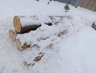 Сосна 4.36 м3 Красноярский край 6 сортиментов древесины породы сосна-4,36м3 Хранится на открытой площадке. Срублен в конце 2024года. Находится в Красноярском крае, 2 сортимента в с. Сухобузимское 4 сортимента п. Большая Мурта.