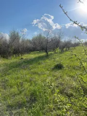 Земельный участок в Ульяновской обл., 600 кв.м, площадь: 600кв.м., адрес (местонахождение): 433391,УЛЬЯНОВСКАЯ ОБЛАСТЬ,УЛЬЯНОВСКАЯ ОБЛАСТЬ,р-н. Сенгилеевский,,с. Шиловка,ул. 8 Марта,111, кадастровый номер: 73:14:011701:2147