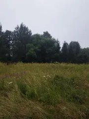 Земельный участок 1111 кв.м, КН 50:33:0010140:1064, Московская область. Площадь земельного участка: 1111. Кадастровый номер земельного участка: 50:33:0010140:1064. Основной вид разрешенного использования: 2.1.