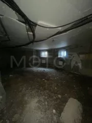 Нежилое помещение 3411 П (S 70,80 кв.м.) 70,9 кв.м., расположенное в цокольном этаже дома № 6 по ул. Тенистая, кадастровый номер 55:20:220101:6844; номер государственной регистрации права собственности 55-55-24/097/2014-750/1 от 12.01.2015; регистрационная запись ограничения в виде ипотеки…
